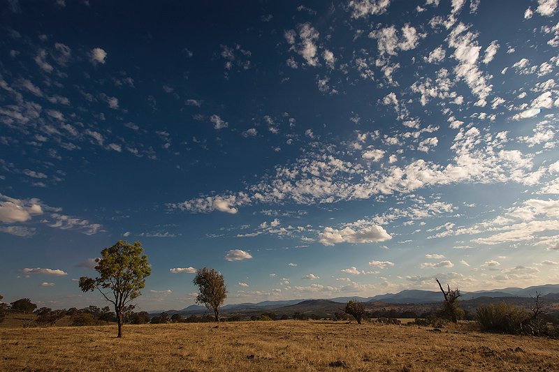 evening light at the pinnacle.jpg